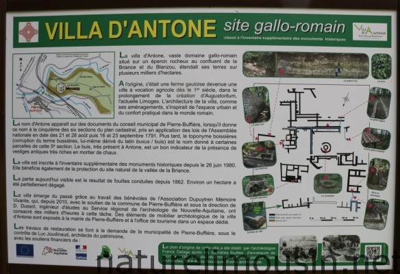 villa d antone